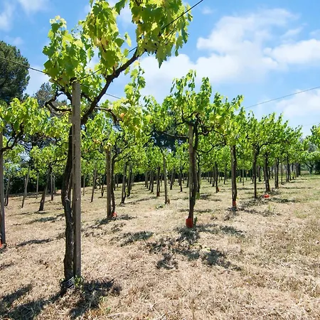 Σπίτι διακοπών Enchanting Coastal With Views