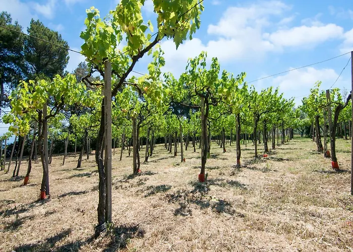 Casa vacanze Enchanting Coastal With Views