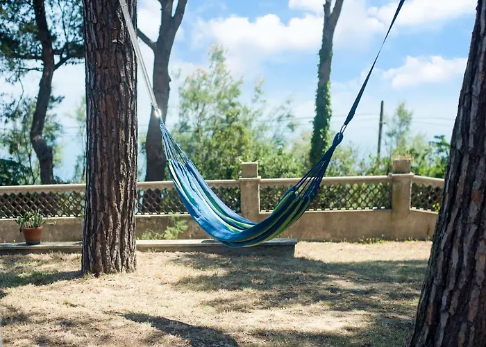 Enchanting Coastal With Views